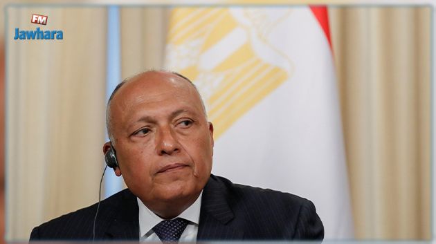 للمرّة الأولى منذ عقد: وزير الخارجية المصري يتوجّه إلى سوريا وتركيا