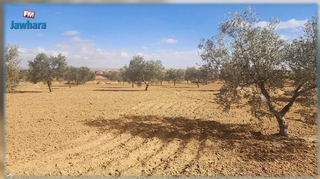 صفاقس: الدّولة تسترجع عقارا دوليا فلاحيا بمساحة 11 هك