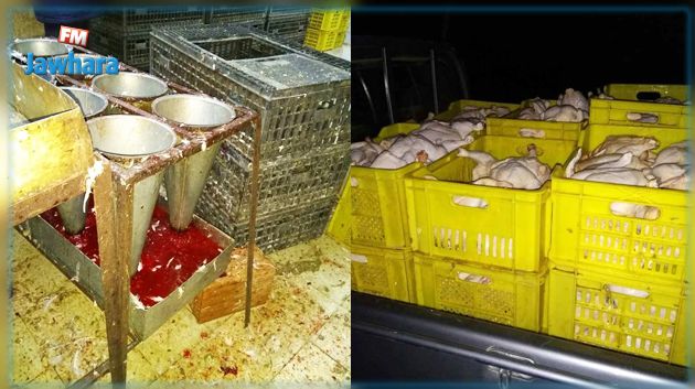 نابل: حجز طنّين من اللحوم البيضاء وألف طير دجاج في مذبحين عشوائيين