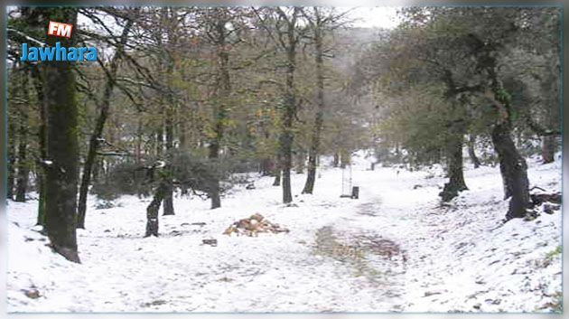 الكاف: الثلوج تغطّي المرتفعات الجبلية 