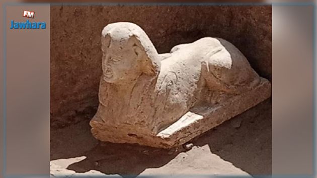 إكتشاف تمثال جديد يشبه أبو الهول في مصر (صور)