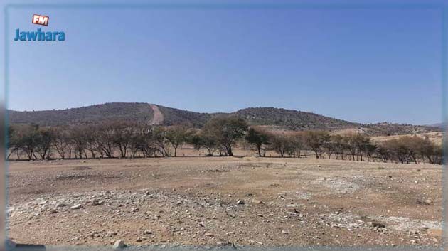 آلاف الهكتارات من العقارات الدولية الفلاحية المُسترجعة مُهملة 