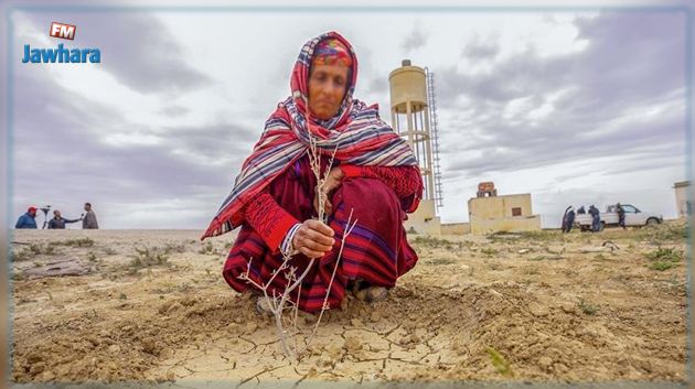 يساهمن في السّيادة الغذائية لتونس.. عاملات الفلاحة يطالبن بتحسين وضعيتهن الصعبة