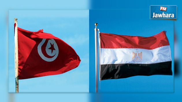 جسر جوي بين مصر وتونس لإجلاء المصريين من ليبيا