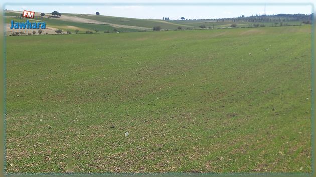 الدّولة تسترجع عقارا دوليا فلاحيا بمساحة 35 هك في ولاية سليانة