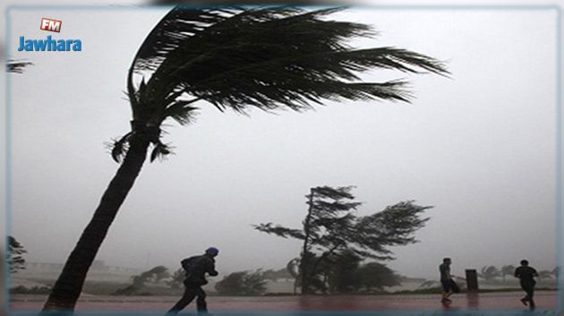 اليوم وغدا..تواصل هبوب رياح قوية