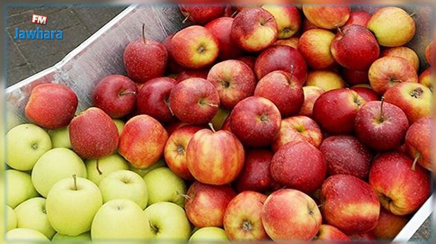 منتجو التفاح يرفضون التسعيرة الجديدة