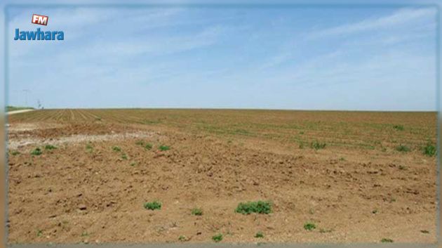 سليانة.. استرجاع عقار فلاحي يمسح 70 هكتارا 