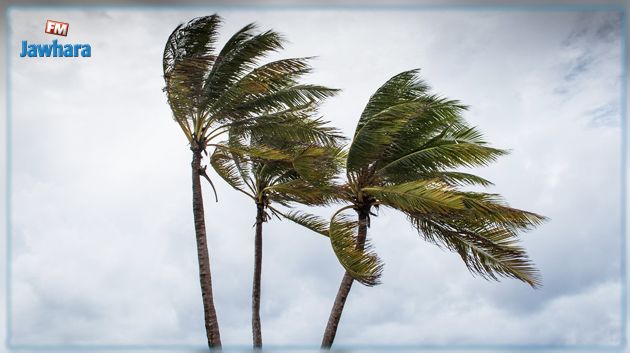 الرصد الجوي: إسناد اللون البرتقالي لولاية قبلي بسبب الرياح القوية جدا