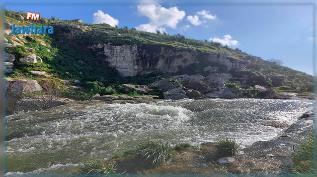 ارتفاع نسبي متوقع في درجات الحرارة 