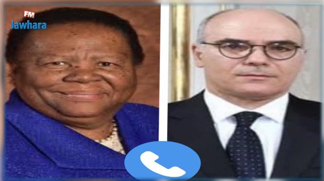 وزير الخارجية يتحادث مع وزيرة العلاقات الدولية والتعاون بجمهورية جنوب إفريقيا