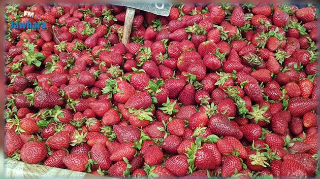 شركة أسواق الجملة: 'بيع 