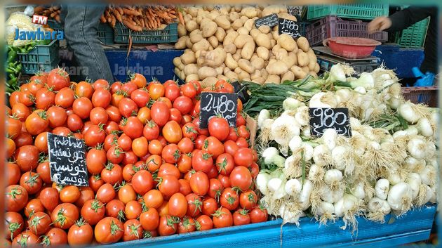 مدير مرصد الأسعار: تراجع منتظر لأسعار أصناف من الخضر والغلال 