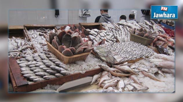 تحديد هامش الربح الأقصى للبيع في قطاع الأسماك