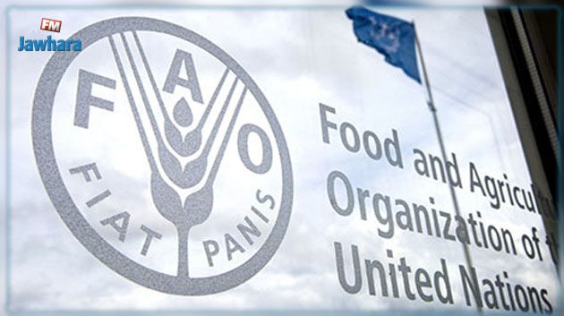 بأجر 700 دولار شهريًا: فرص تكوين للتونسيين المقيمين في الخارج