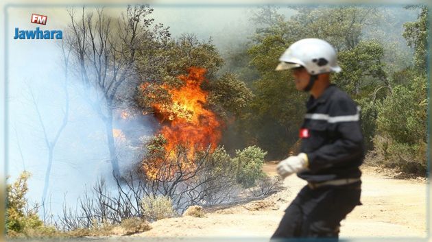 بتهمة الاعتداء على الملك العام بالحرق.. إحالة 3 حراس بضيعة فلاحية على أنظار القضاء