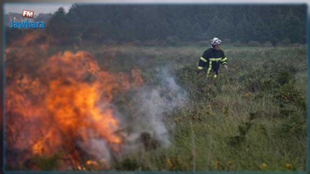 عقوبة حرق الغابات تصل إلى الإعدام !!