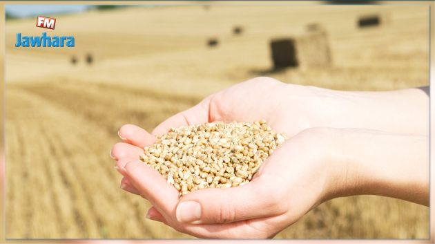 وزيرة المرأة: 70 % من الأمن الغذائي تؤمنه نساء