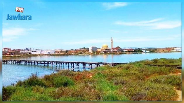 نجاح تجربة للحدّ من التلوّث والقضاء على البعوض بسبخة قربة