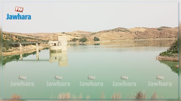 باجة: الأمطار الأخيرة ضعيفة ولم تؤثر على مخزون السدود