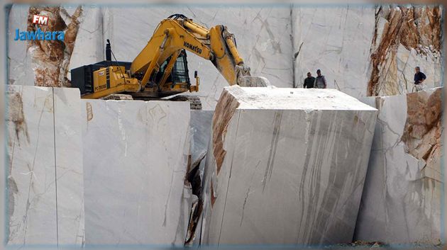 وزارة املاك الدولة: استرجاع مقطع حجارة رخامية بولاية القصرين