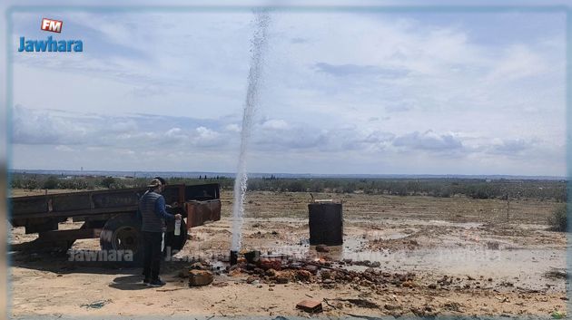 بئر بوعثمان: الفلاّح وليد عبد العزيز يوضح (فيديو)