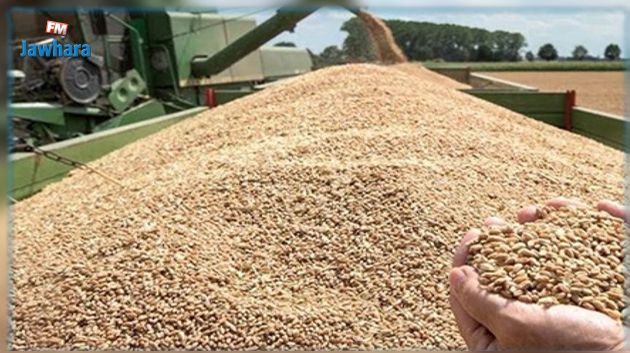 وزير الفلاحة : منحة زيادة ب10 دنانير في قنطار الحبوب لفائدة الفلاحة 