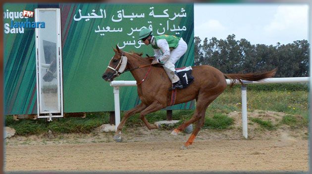 الجواد 'منصف' يفوز بالجائزة الكبرى لرئيس الجمهورية لسباقات الخيول الأصيلة