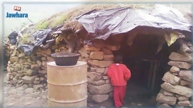 اليوم العالمي للأسرة:  تسليم 517 مورد رزق لفائدة أسر تونسيّة ذات وضعيات خاصة