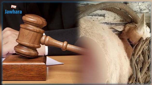 حادثة ذبح غزال أبو حراب بدغومس: النيابة العمومية تفتح بحثا في القضية 