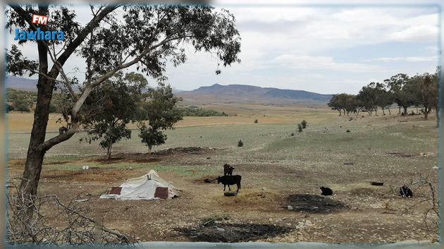 وزارة أملاك الدّولة: استرجاع 228 هك من أراضي الدّولة في زغوان