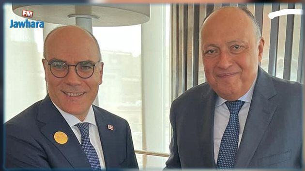  أبرز المستجدات في المنطقة العربية محور لقاء وزير الخارجية بنظيره المصري