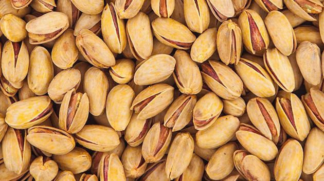 القصرين.. نمو متوقّع في صابة الفستق