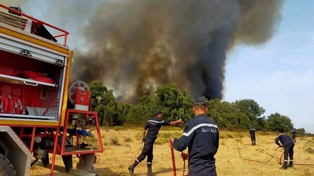 جندوبة : السيطرة على حريق في غابة وادي كسّاب