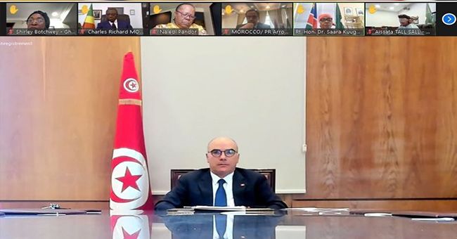 وزير الخارجية يشارك في جلسة افتراضية لمجلس السلم والأمن التابع للاتحاد الإفريقي