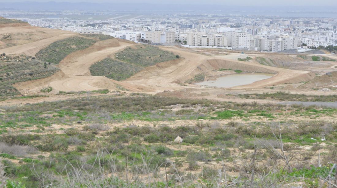 دعوة المستثمرين الراغبين في تغيير صبغة الأراضي الفلاحية التي اقيمت عليها مشاريع صناعية الى تقديم ملفاتهم دعوة المستثمرين الراغبين في تغيير صبغة الأراضي الفلاحية التي اقيمت عليها مشاريع صناعية الى تقديم ملفاتهم