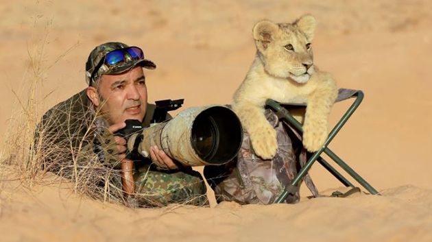استوْلى على مقعده.. شبل أسد طريف يُرافق مصوّرًا جزائريًّا في رحلته