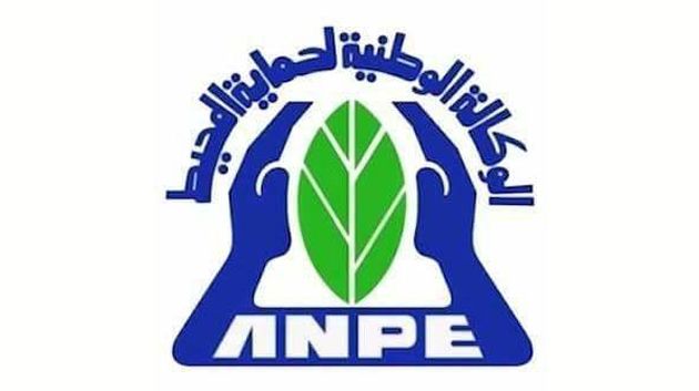تسمية مدير عام جديد للوكالة الوطنية لحماية المحيط