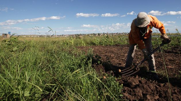 المديونية تجبر حوالي 3 % من الناشطين في الفلاحة على مغادرة القطاع سنويا