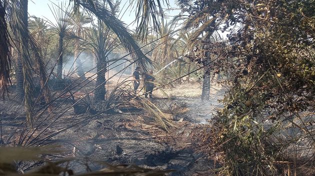 توزر: السيطرة على حريقين منفصلين في واحة حامة الجريد
