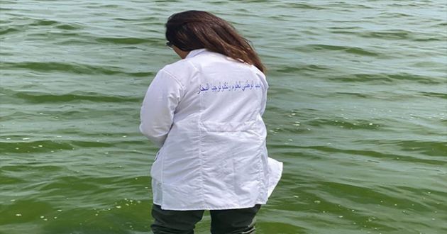 المعهد الوطني لعلوم وتكنولوجيا البحار يوضّح سبب تغيّر لون مياه البحر بسواحل حمام الأنف والزهراء
