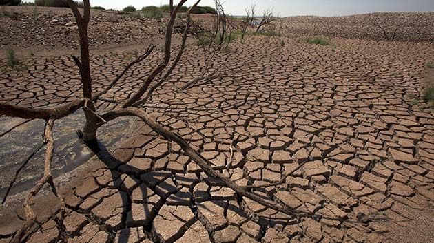 خبيرة في المياه: 'حل إشكالية الإجهاد المائي في تونس لا يتطلب حلولاً تقنية ولكن خيارات وإرادة سياسية'