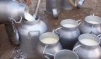 توفر مخزون بحجم 28،6 مليون لتر من الحليب 