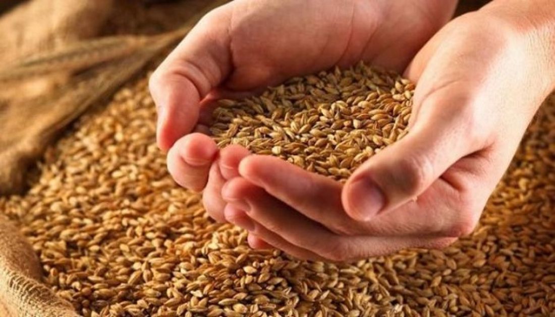 وزارة الفلاحة تصدر الأمر الموسمي المتعلق بسعر الحبوب قريبا وزارة الفلاحة تصدر الأمر الموسمي المتعلق بسعر الحبوب قريبا