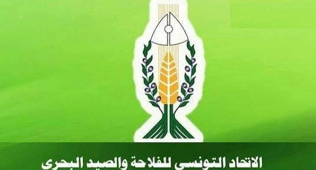 اتحاد الفلاحة والصيد البحري يدعو هياكله الى عدم الانجرار الى مربّع العنف