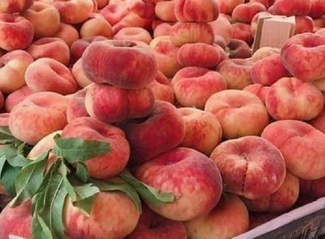 ليبيا تحتكر 90 % من صادرات تونس من الغلال.. وخوخ بوطبقاية على رأس القائمة