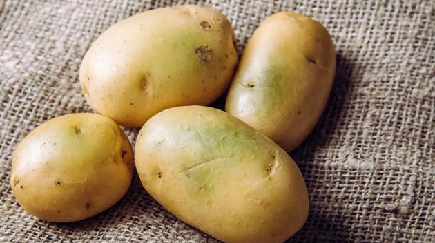 البقع الخضراء على البطاطس.. ما مدى خطورتها على صحتك؟