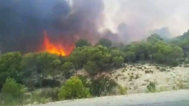 القيروان : إندلاع حريق بجبل السرج