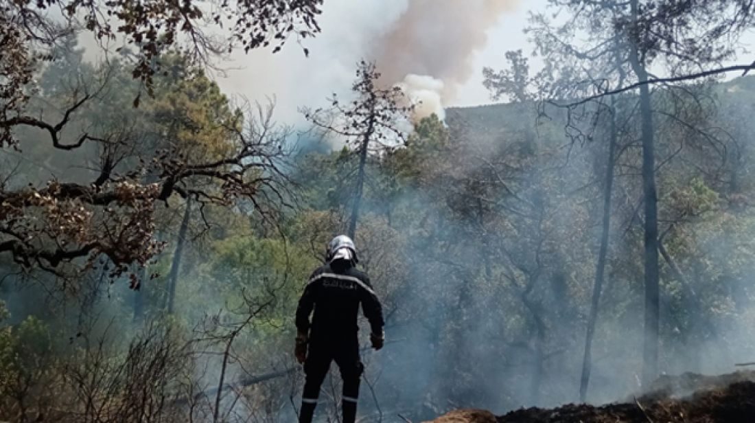 والي جندوبة: الحريق تحت السيطرة وحركة العبور بملولة ستعود الى طبيعتها في غضون ساعات (فيديو) والي جندوبة: الحريق تحت السيطرة وحركة العبور بملولة ستعود الى طبيعتها في غضون ساعات (فيديو)