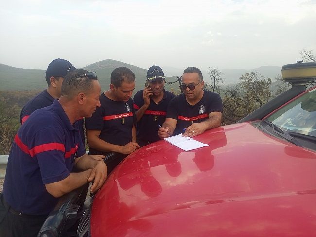السيطرة بالكامل على حريق غابة ملولة من معتمدية طبرقة